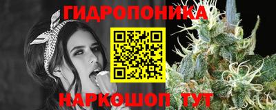 стафф Ливны