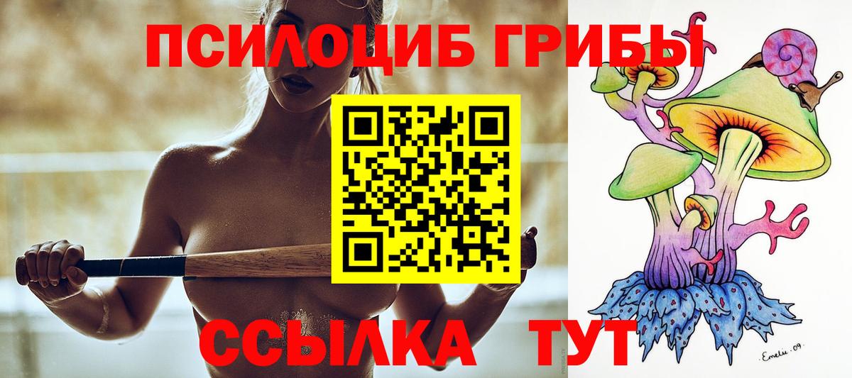 Псилоцибиновые грибы GOLDEN TEACHER  Вход с VPN  Великий Устюг 